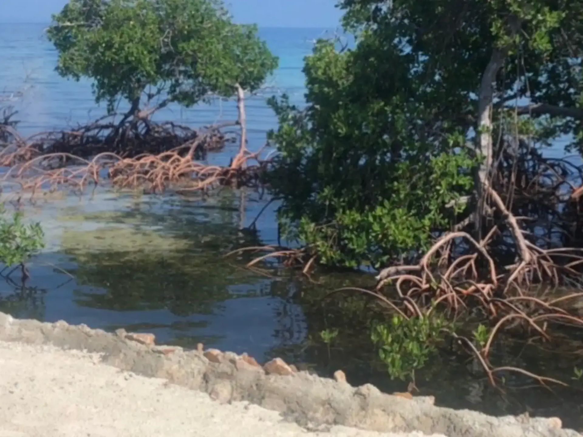 Raguana Caye